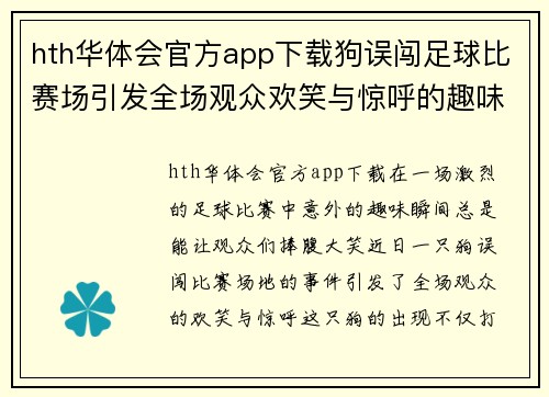 hth华体会官方app下载狗误闯足球比赛场引发全场观众欢笑与惊呼的趣味瞬间